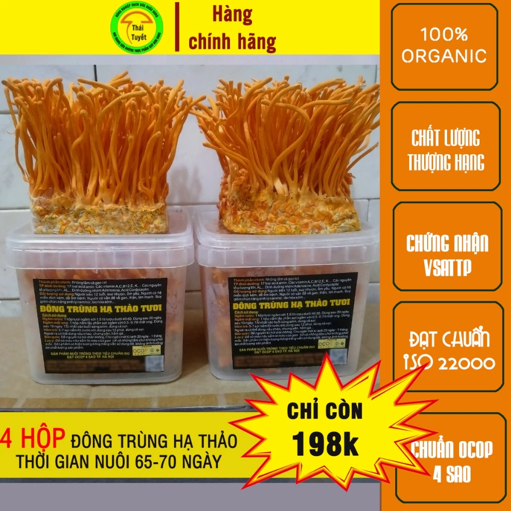 Làm thế nào để nhận biết nấm Đông trùng hạ thảo thật và tránh mua phải hàng giả?