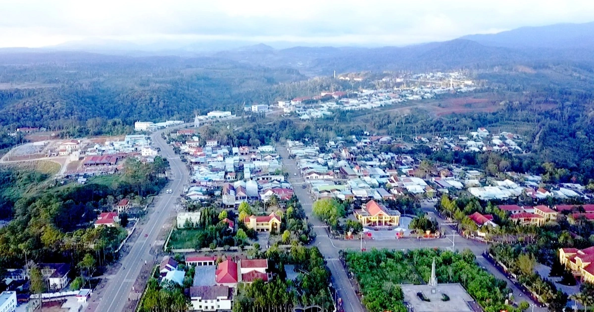 Đấu Giá Đất Măng Đen: 40 Lô Bán Hết, Thu Gần 270 Tỷ – Cơ Hội Đầu Tư Hấp Dẫn