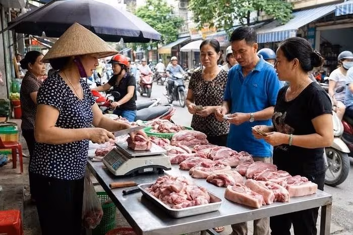 Giá heo hơi ngày 12/1/2026 giữ mức cao: Thị trường ổn định trước Tết Nguyên đán