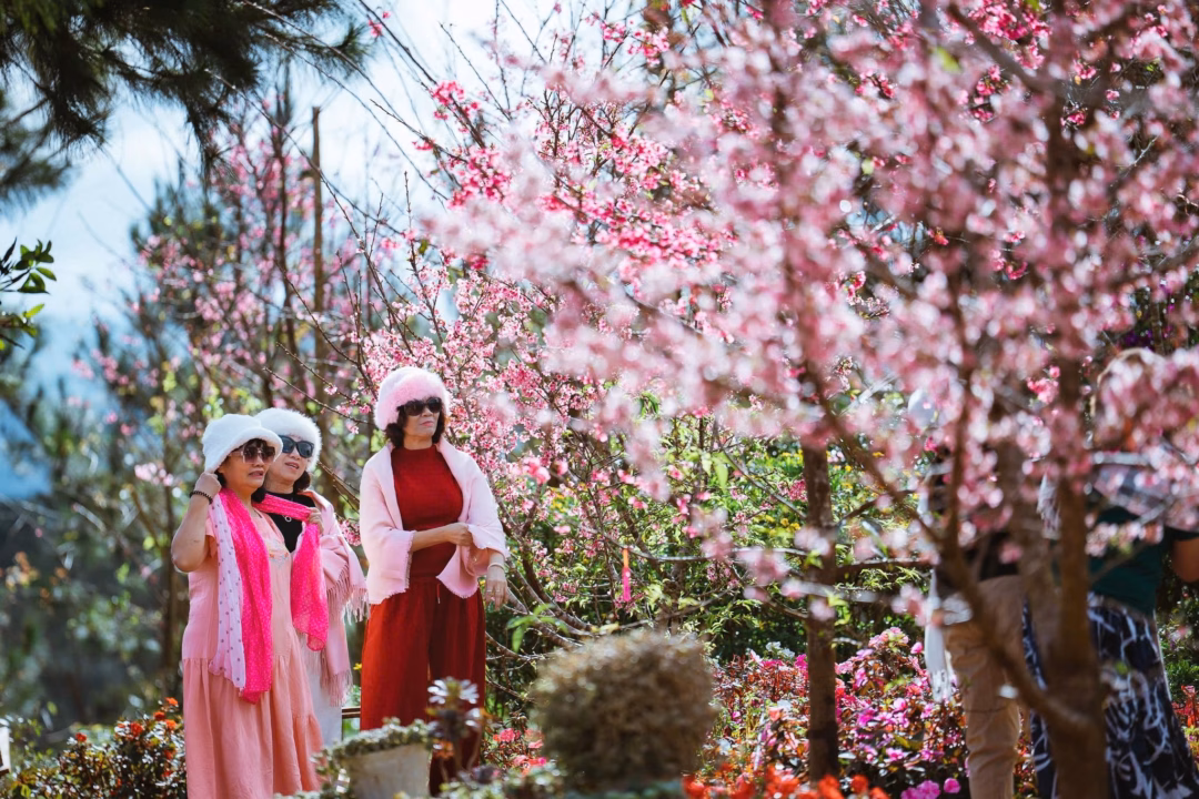 Lượng khách du lịch tăng cao Du khách Măng Đen trong dịp Tết