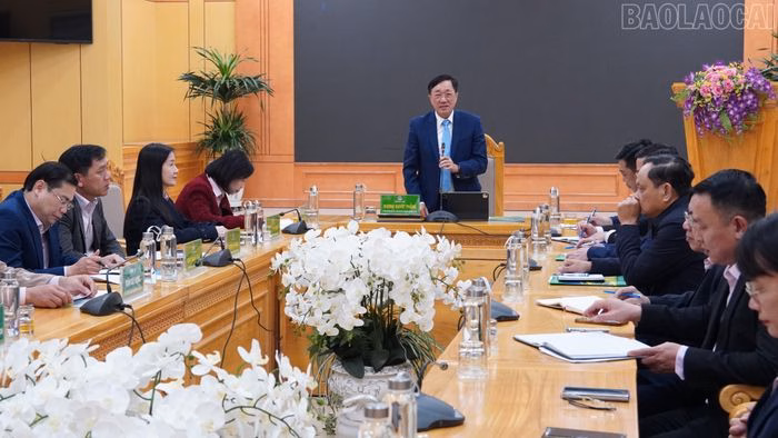 Tổng Giám đốc Dương Quyết Thắng phát biểu kết luận Tổng Giám đốc Dương Quyết Thắng phát biểu kết luận