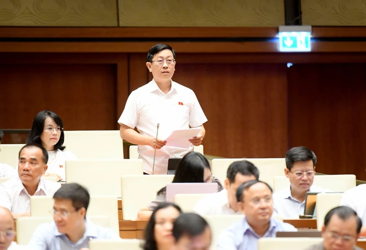 Đại biểu Nguyễn Hữu Thông