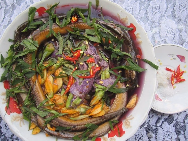 Bèo tây om lươn Bèo tây om lươn
