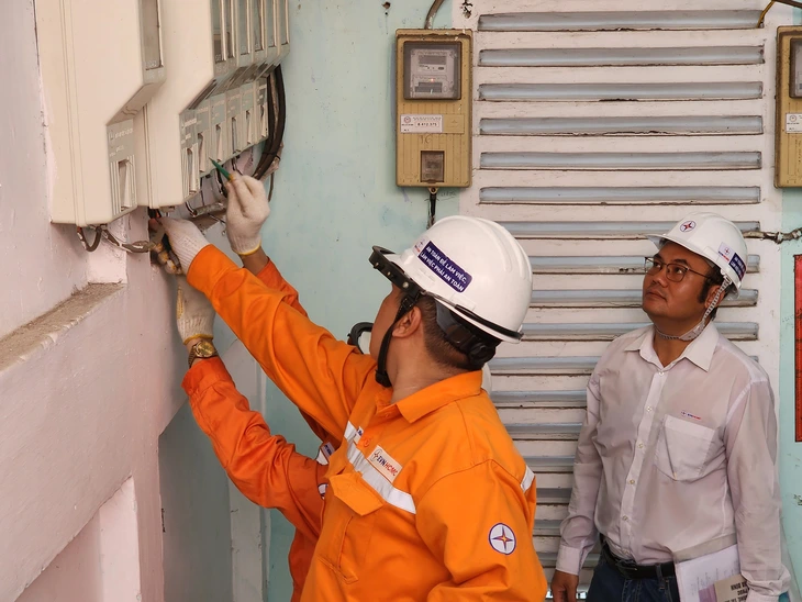 Tổng công ty Điện lực TP.HCM - Ảnh1.