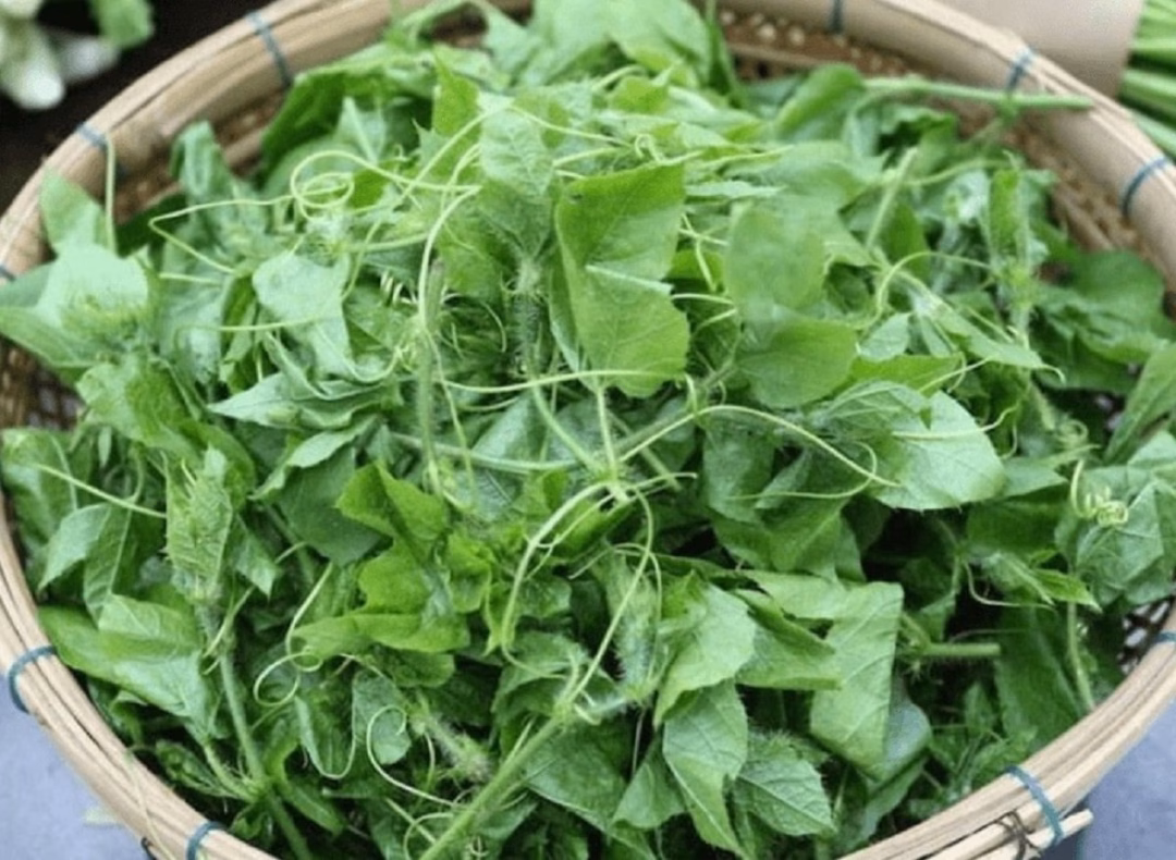 Rau lạc tiên Rau lạc tiên
