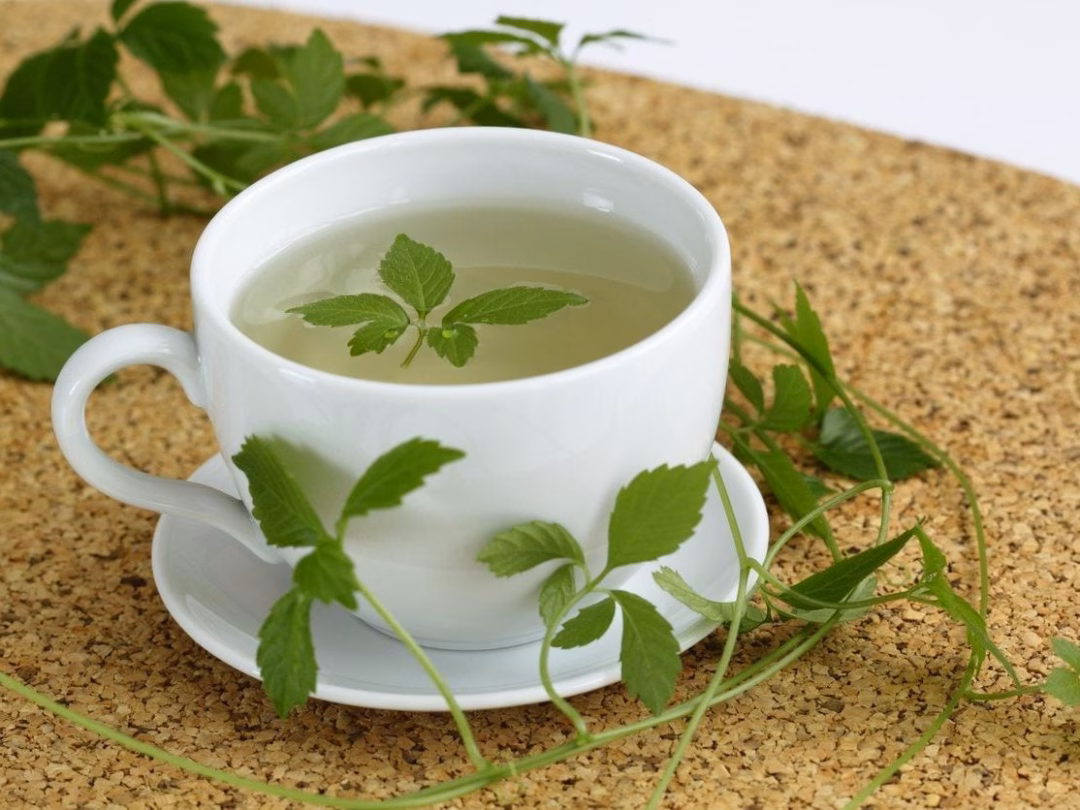 Lợi ích của giảo cổ lam Lợi ích của giảo cổ lam