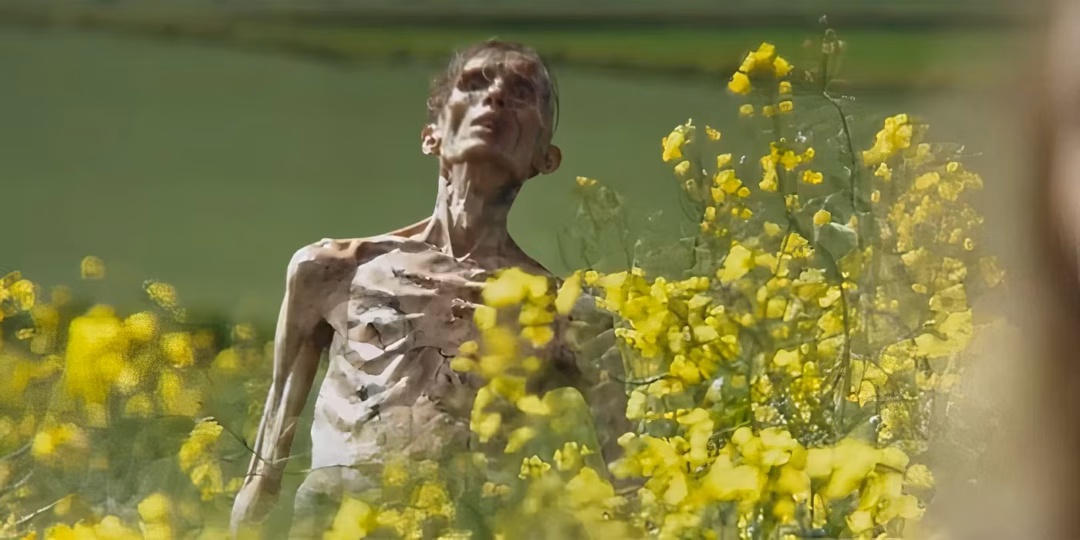 Tạo hình xác sống của Cillian Murphy Cillian Murphy gây sốc với thân hình da bọc xương