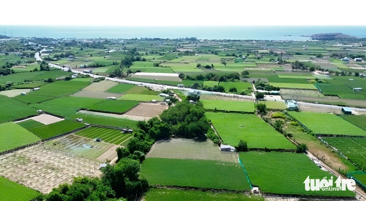 Nhà máy điện hạt nhân Ninh Thuận2 Thôn Thái An, xã Vĩnh Hải, huyện Ninh Hải - nơi quy hoạch xây dựng Nhà máy điện hạt nhân Ninh Thuận2