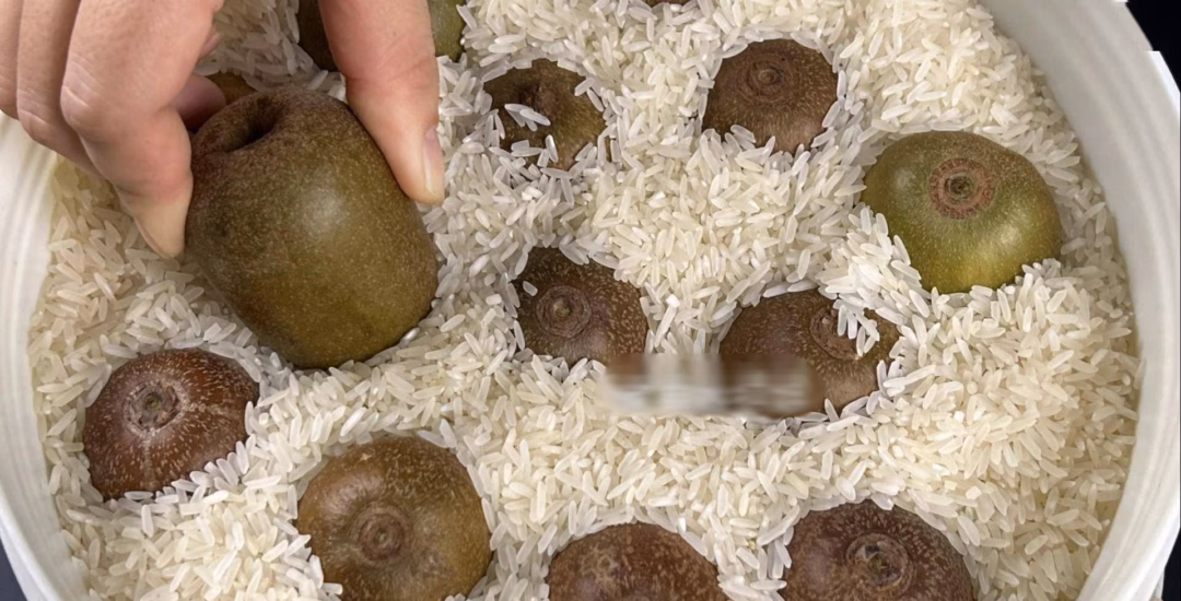 Độ mềm Kiwi Độ mềm Kiwi