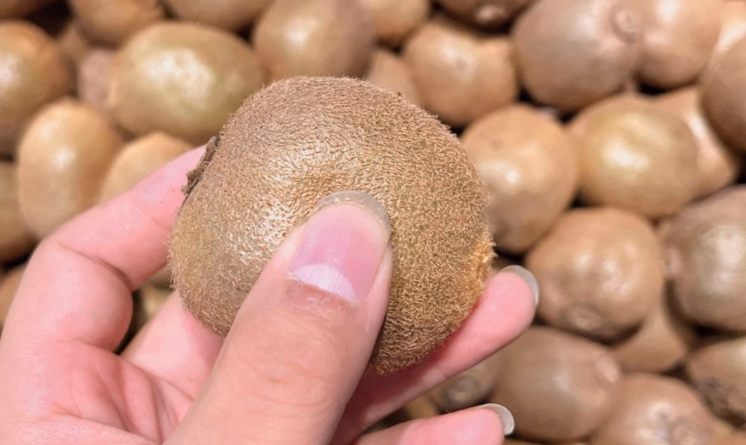Lớp lông Kiwi Lớp lông Kiwi