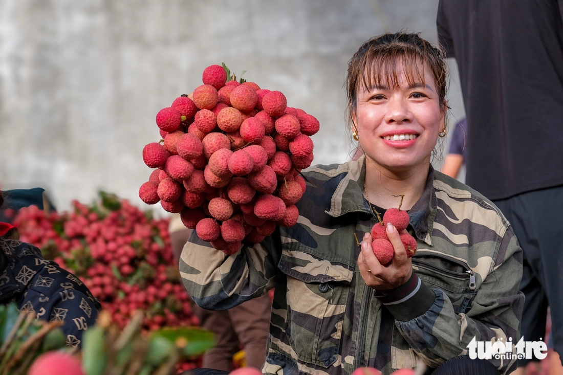 Vải thiều được khách hàng Trung Quốc ưa chuộng Vải thiều được khách hàng Trung Quốc ưa chuộng