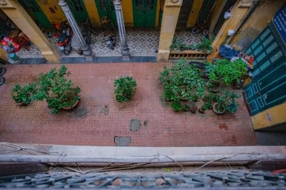 Thiết kế kiến trúc Pháp cổ Thiết kế biệt thự