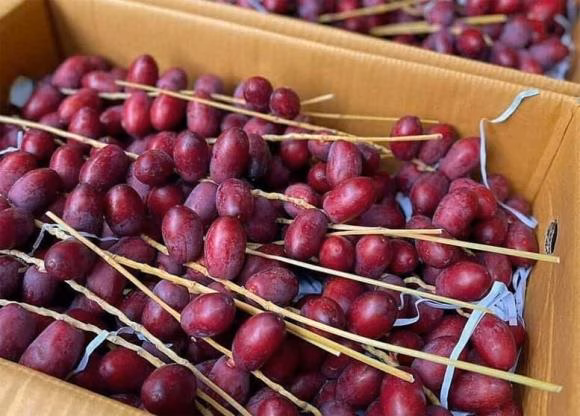 Chà là đỏ Chà là đỏ