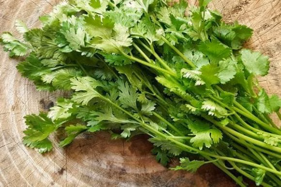 Thịt lợn và rau mùi Thịt lợn và rau mùi không nên kết hợp