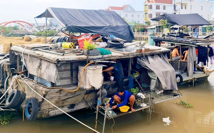 Đời quanh năm xa nhà Đời quanh năm xa nhà