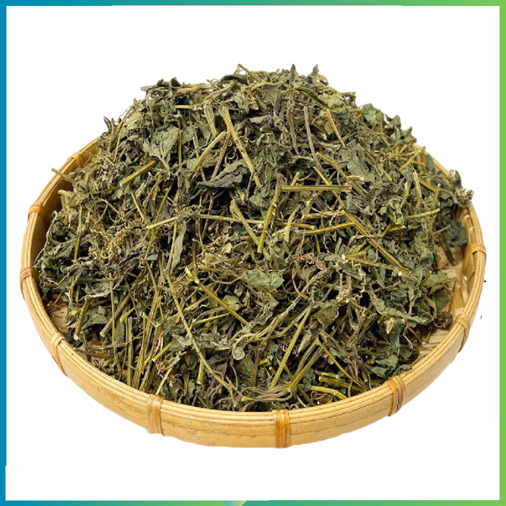 Giảo cổ lam khô Giảo cổ lam khô