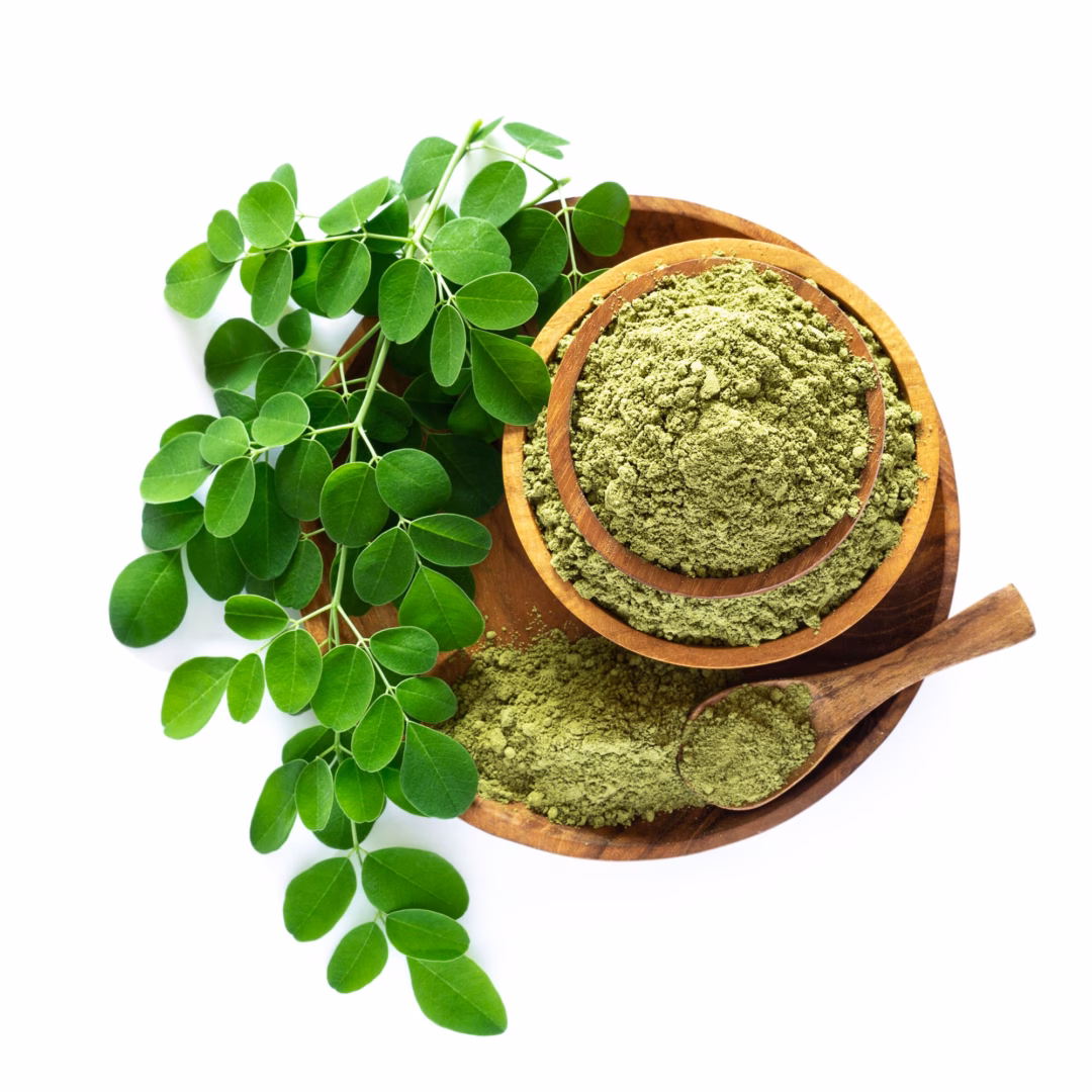 Bột rau chùm ngây Bột rau chùm ngây