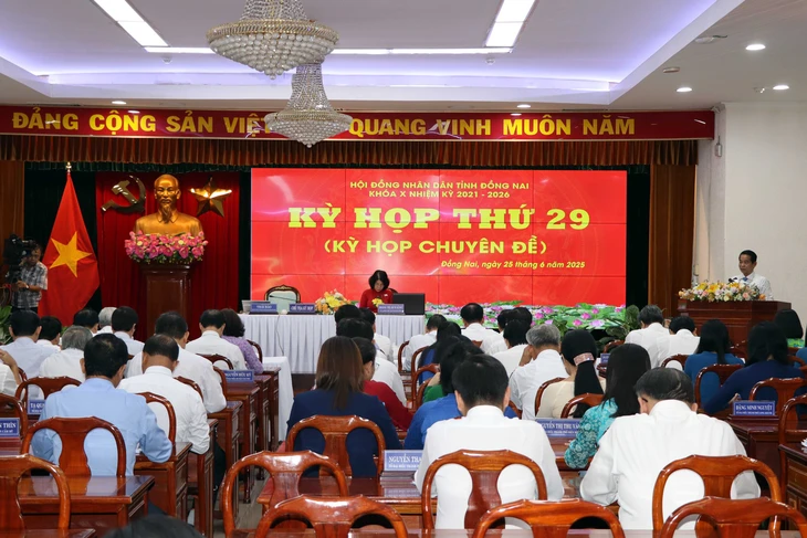 Kỳ họp Hội đồng nhân dân tỉnh Đồng Nai khóa X Đồng Nai - Ảnh1.
