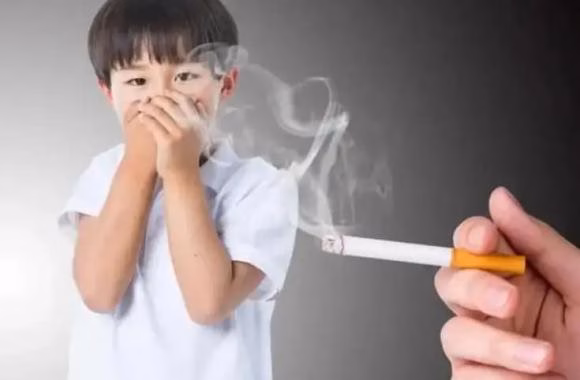 Lợi ích của việc trồng cây xanh Trồng cây xanh để giảm thiểu tác hại của khói thuốc lá