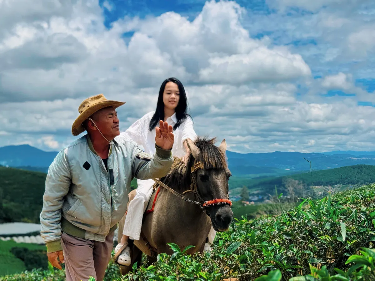 Những chú ngựa trên cao nguyên Langbiang Những chú ngựa trên cao nguyên Langbiang