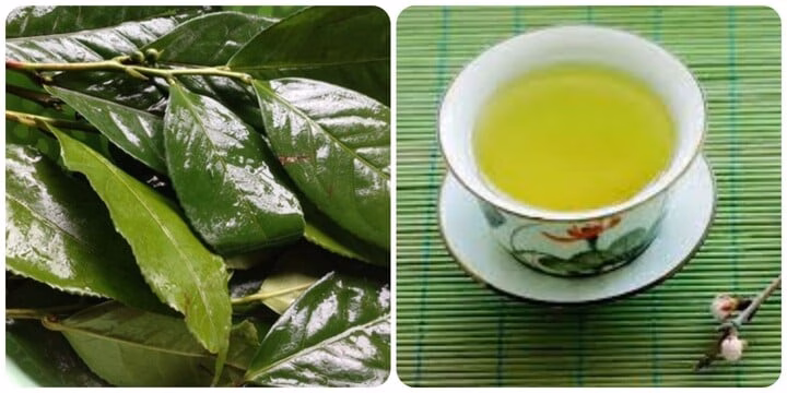 Uống nước chè xanh sai cách Uống nước chè xanh sai cách