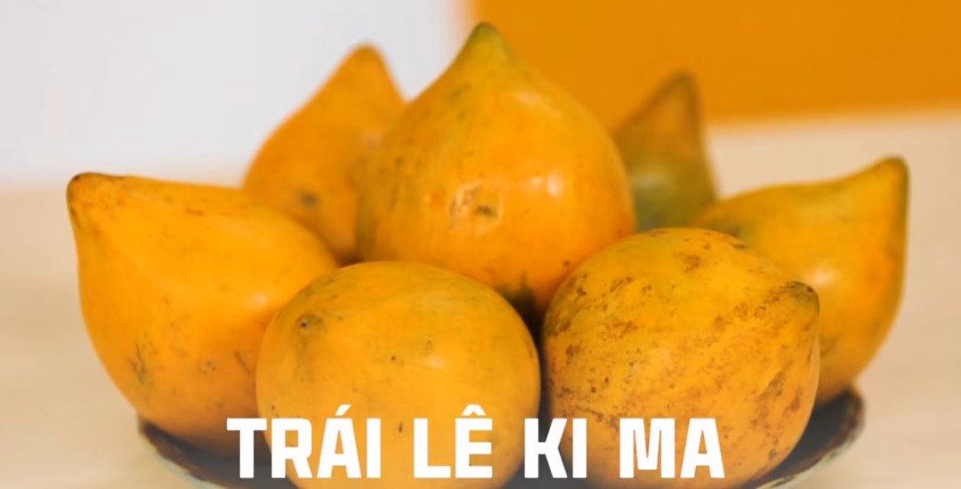 Trái lê ki ma Trái lê ki ma