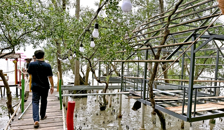 ‘Xâm hại đất rừng phòng hộ ven biển để kinh doanh quán nhậu’ 'Xẻ thịt' đất rừng phòng hộ để làm quán nhậu - Ảnh2.