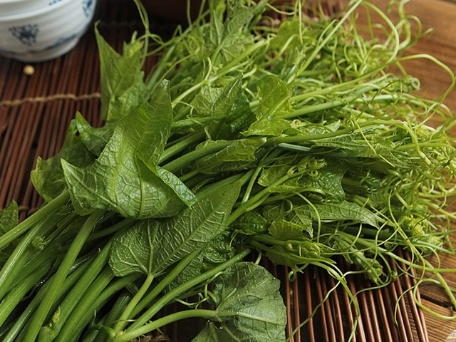 Lợi ích của rau bí Rau bí đem đến nhiều lợi ích cho sức khỏe