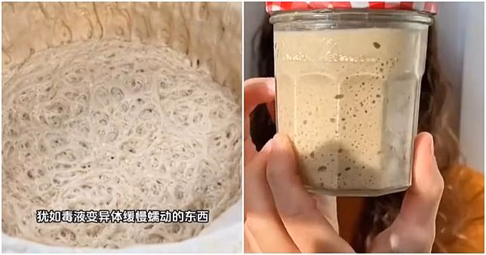 Nuôi nấm men Nhiều người trẻ Trung Quốc nuôi nấm men vì chúng dễ chăm sóc.