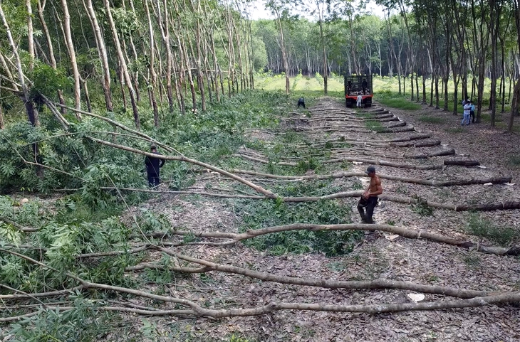 Tập đoàn Sơn Hải kiến nghị về gói thầu cao tốc