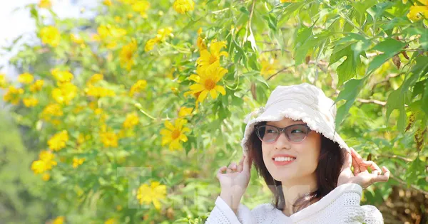 Vườn hoa dã quỳ Vườn hoa dã quỳ