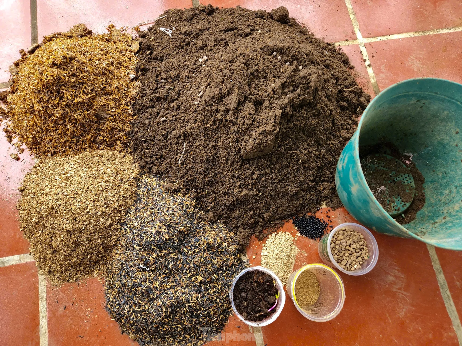 Khu vườn trên sân thượng Khu vườn trên sân thượng của chị Lê Thị Thu Luy