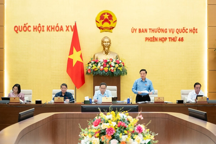 Việc Áp Dụng với Từng Trường Hợp Cụ Thể Quang cảnh phiên họp