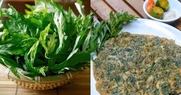 Bài thuốc từ ngải cứu Bài thuốc từ ngải cứu
