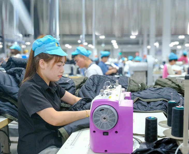 doanh nghiệp thành lập mới doanh nghiệp - Ảnh1.