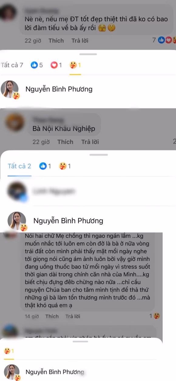 Tranh chấp tài sản mẹ và vợ cố diễn viên Đức Tiến Tranh chấp tài sản