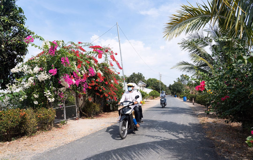 Truy nã đối tượng lừa tiền cọc lúa của người dân