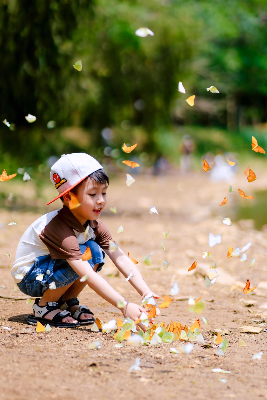 Mùa bướm mỗi năm chỉ có một lần