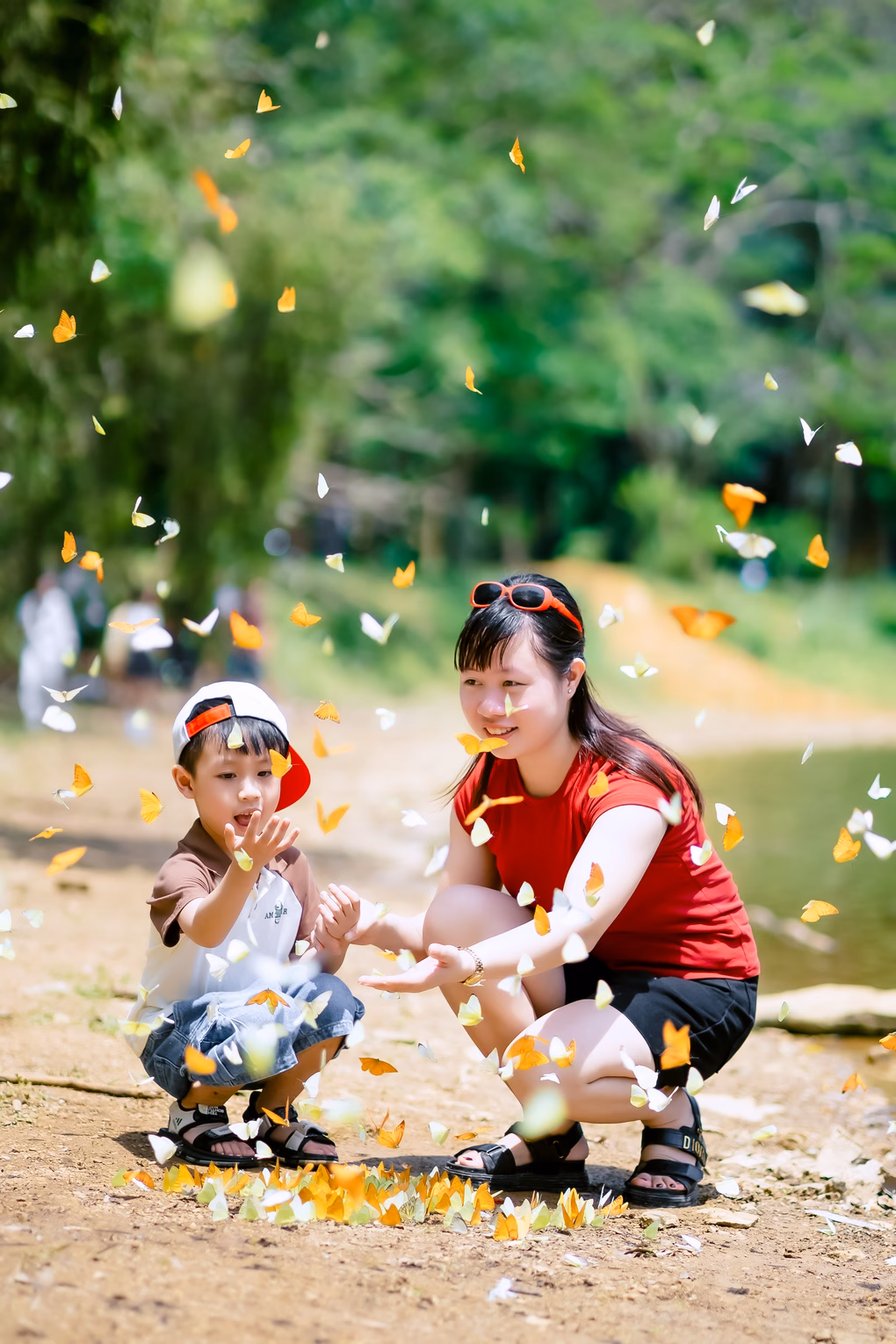 Hàng nghìn cánh bướm rập rờn