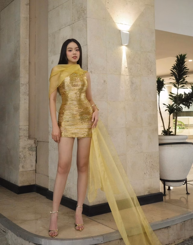 Hoa hậu Huỳnh Thị Thanh Thủy 'gây bão' với layout ngọt lịm công du xuyên lục địa- Ảnh3. Hoa hậu Huỳnh Thị Thanh Thủy tại 'Welcome Dinner'