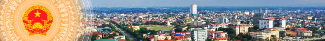 Bàn trà Đàn Nguyệt của nghệ nhân Nguyễn Ngọc Tuấn và thương hiệu Song Hỷ Trà dự lễ hội đa văn hóa Wellington.