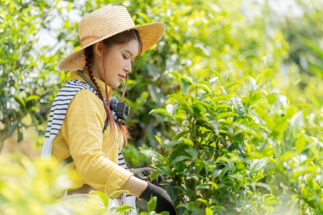 Hành trình của người bình thường truyền cảm hứng qua Gia đình Haha Những nghệ sĩ lần đầu trải nghiệm cuộc sống ở vùng núi