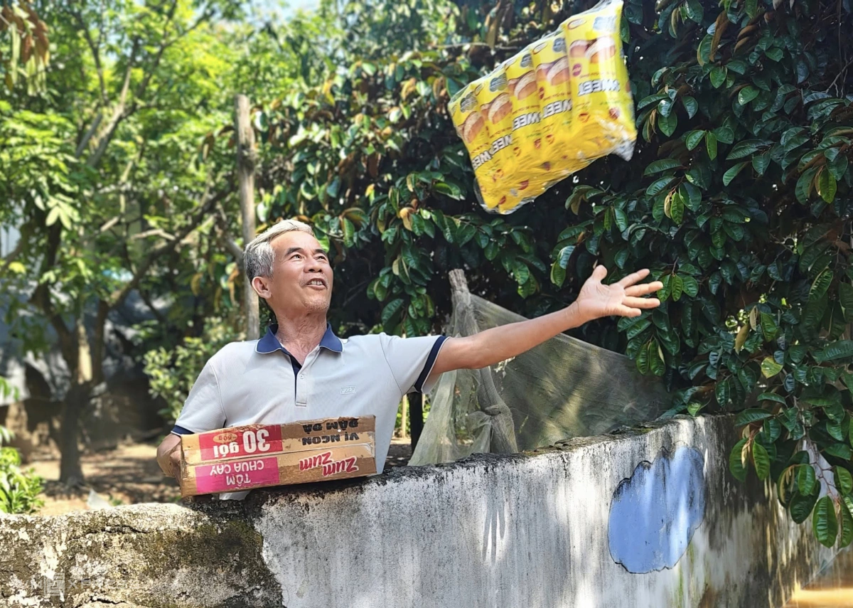 Công tác cứu trợ và khắc phục hậu quả