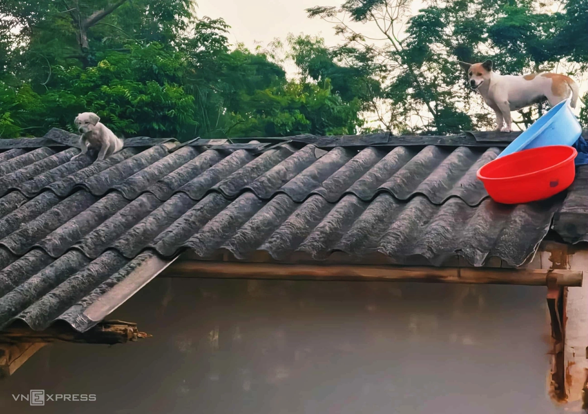 Công tác cứu trợ và khắc phục hậu quả
