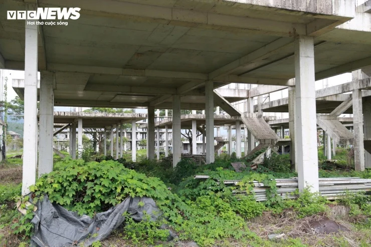 Cỏ dại mọc um t&ugrave;m b&ecirc;n trong c&aacute;c c&ocirc;ng tr&igrave;nh tr&ocirc;ng rất nhếch nh&aacute;c.