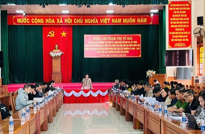 Kiểm tra c&ocirc;ng t&aacute;c chuẩn bị bầu cử tại Gia Lai