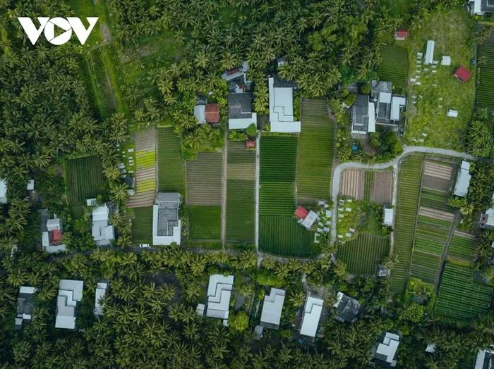 Những ng&ocirc;i nh&agrave; tường khang trang xen kẽ giữa đồng hẹ