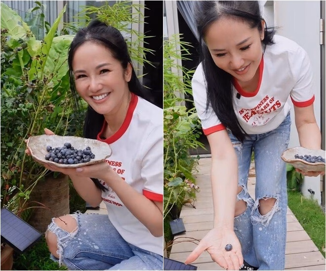 Ca sĩ Hồng Nhung hé mở không gian sân thượng penthouse với vườn hoa đẹp mắt Nữ ca sĩ chia sẻ: “Những bụi này thường phải nằm ở dưới bóng cây mát của các cây lớn hơn”, nên dự định chuyển một số chậu xuống khu vườn phía dưới penthouse.