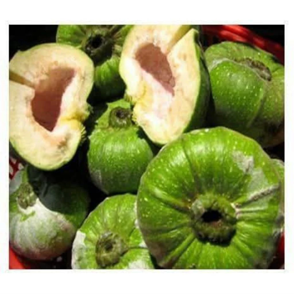 Mẹo chọn trái vả tươi ngon chuẩn đặc sản Huế không phải ai cũng biết