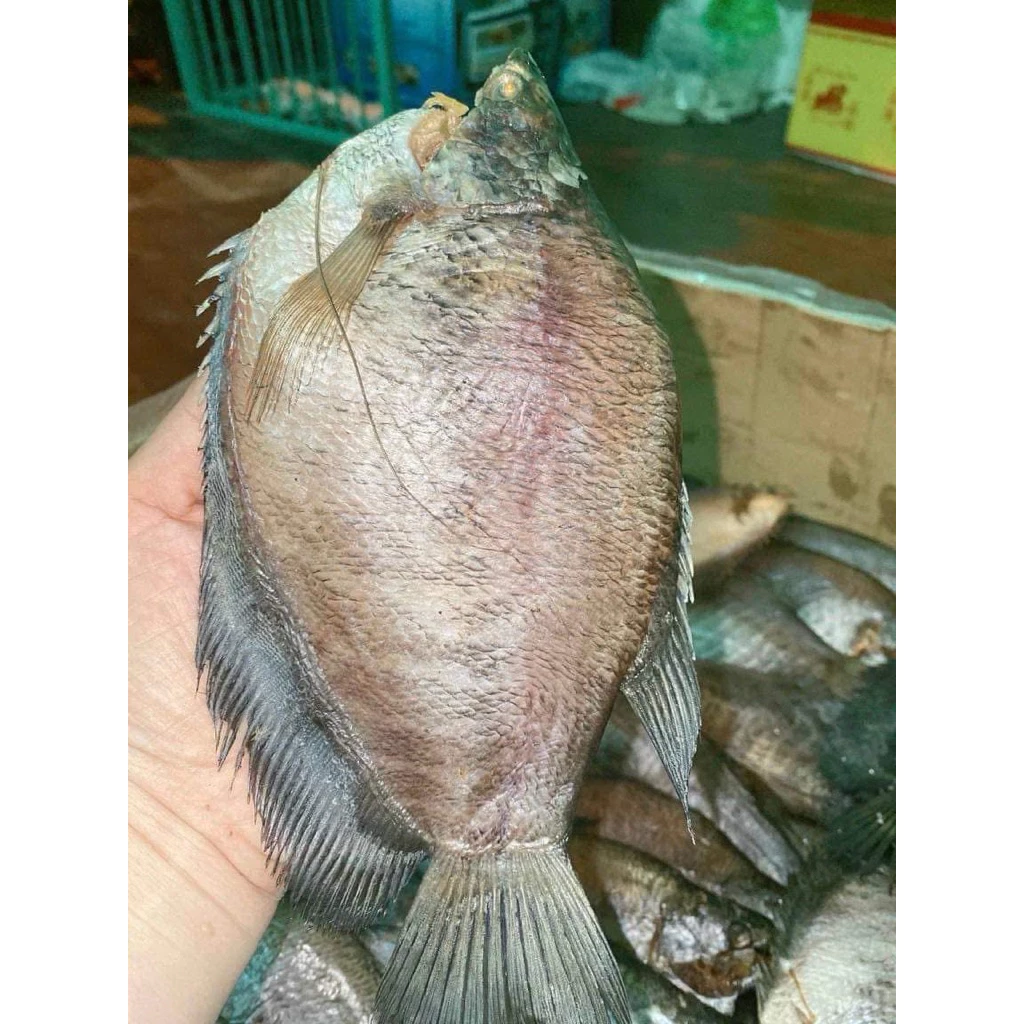 Làm sao để cá khô không bị nhạt và dai khi chế biến, kinh nghiệm của người dân Cà Mau